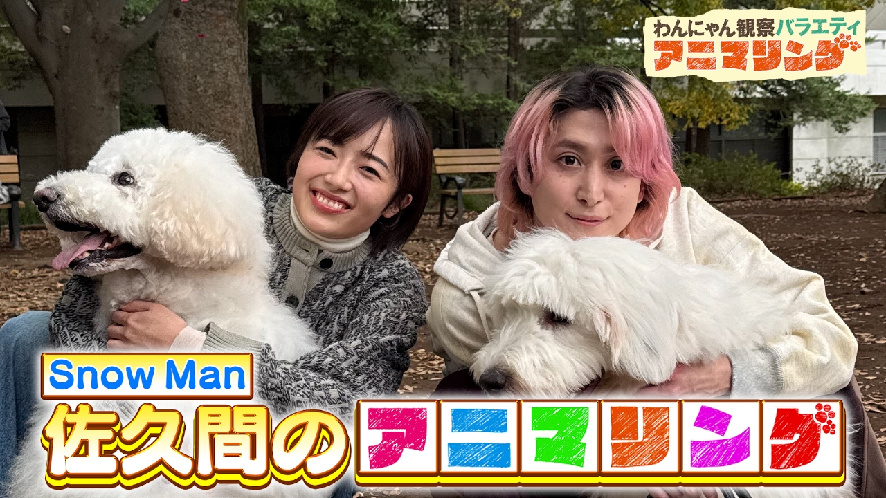 アニマリングとコラボ！Snow Man佐久間が大型犬に振り回される！？
