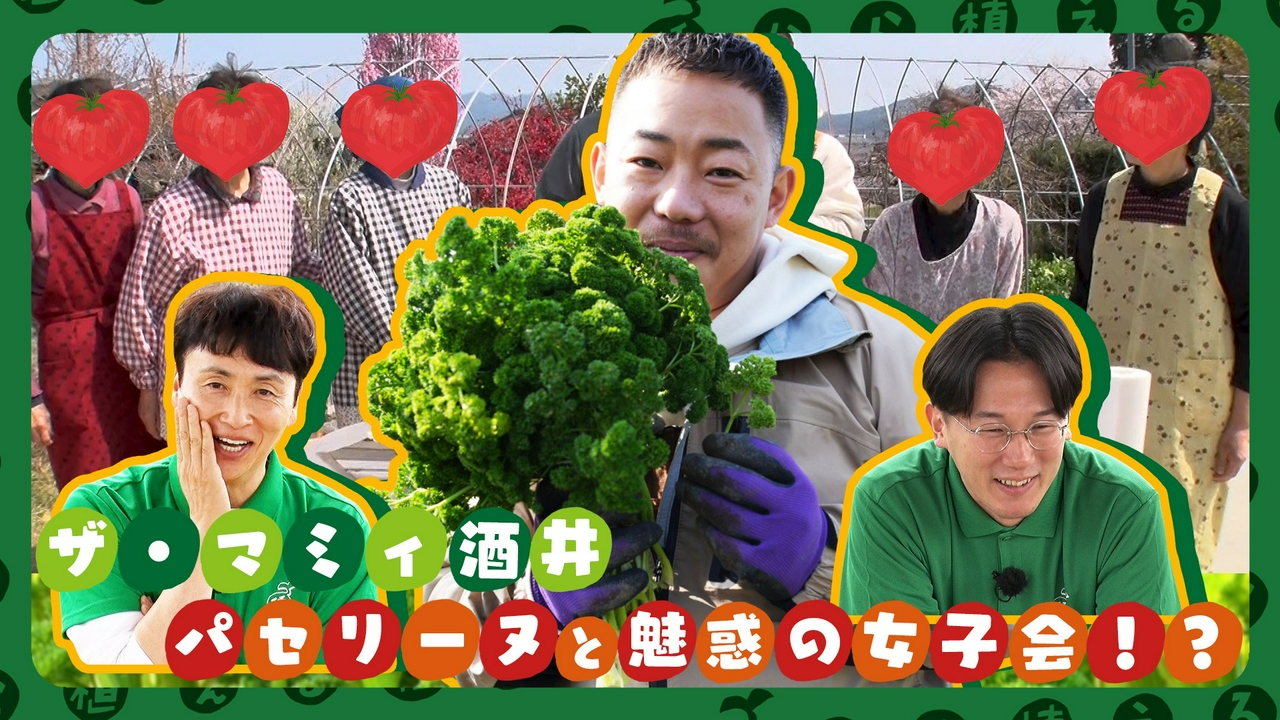 第210回 ザ・マミィ酒井が行く祇園パセリ研修！農家減少の危機を救え！