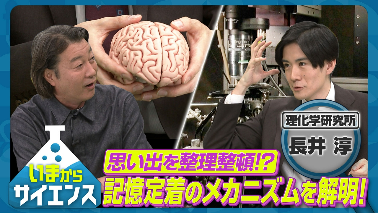 記憶の定着に関するメカニズムを解明！最新脳細胞研究 長井淳（理化学研究所 脳神経科学研究センター・チームディレクター）