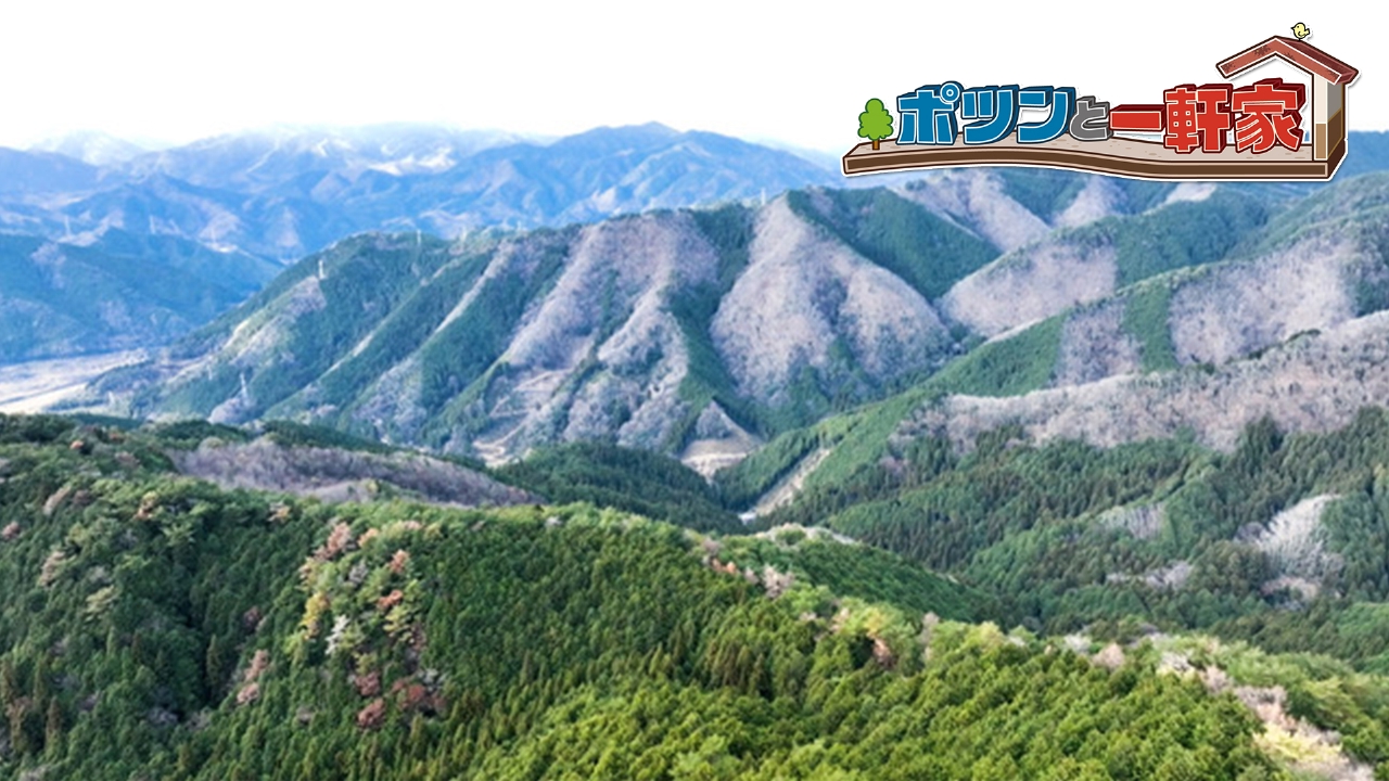 ダムで沈んだ集落よりもさらに山奥に建つポツンと一軒家。亡き父が愛した場所を受け継ぎ守る女性が明かした両親への想い、そして数奇な運命とは…！？