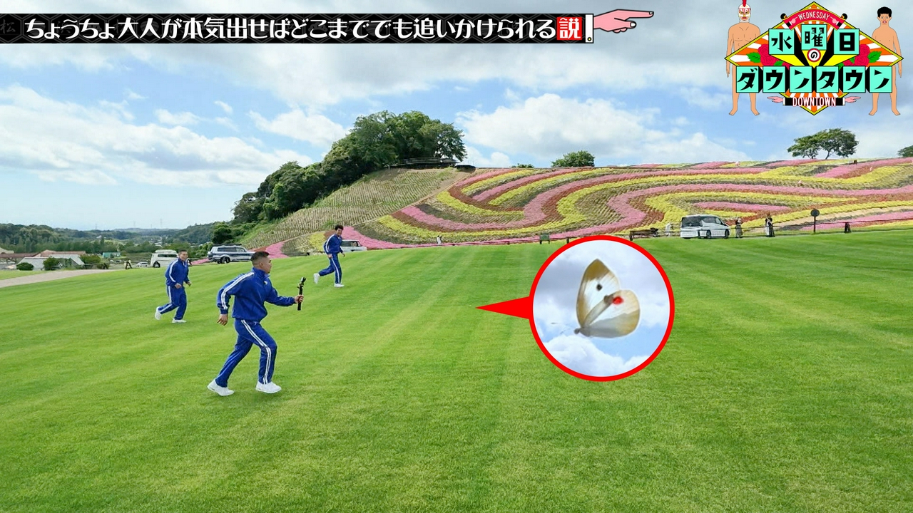 ちょうちょ、大人が本気出せばどこまででも追いかけられる説