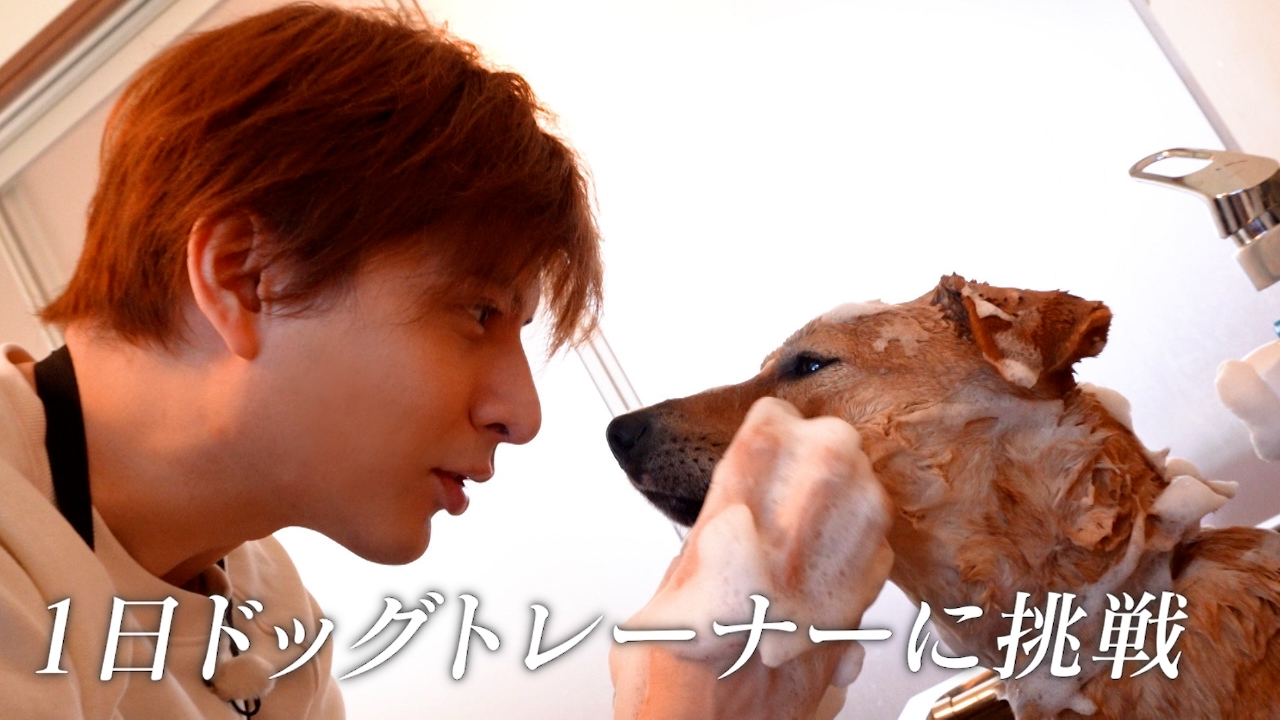 城田優、1日ドッグトレーナーに挑戦