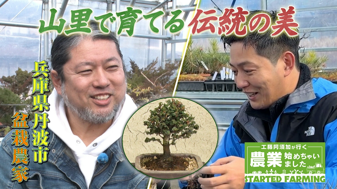 伝統文化の継承を目指して！元カメラマンが挑む奥深き盆栽の世界