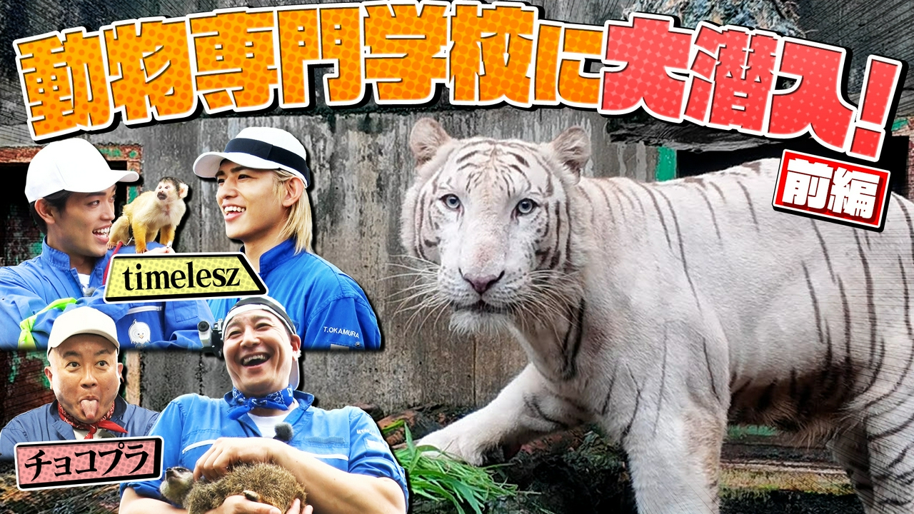 チョコプラ・timeleszが日本最大級の動物専門学校に大潜入！ネイチャー特別課外授業SP！