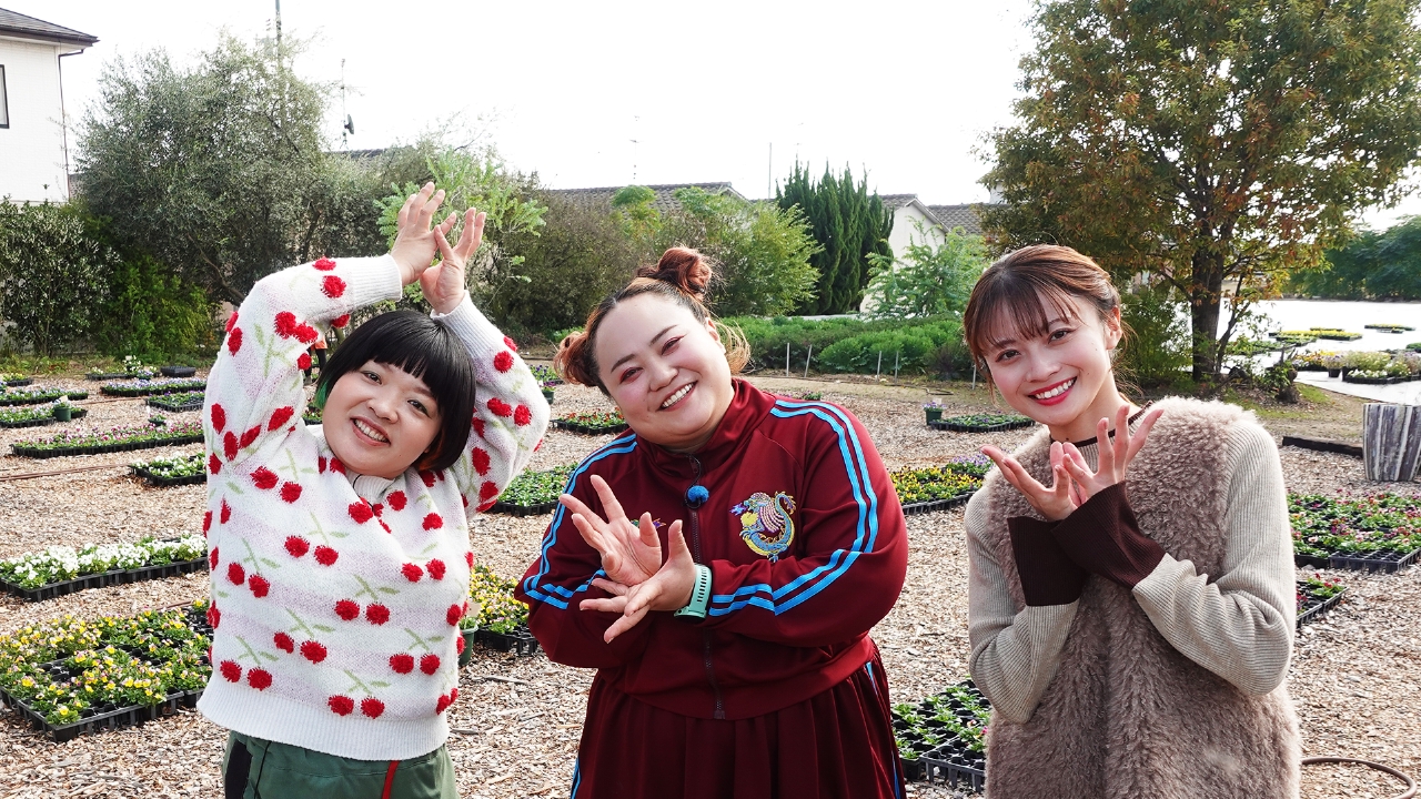 おかずクラブと豊成周辺でお宝探し！