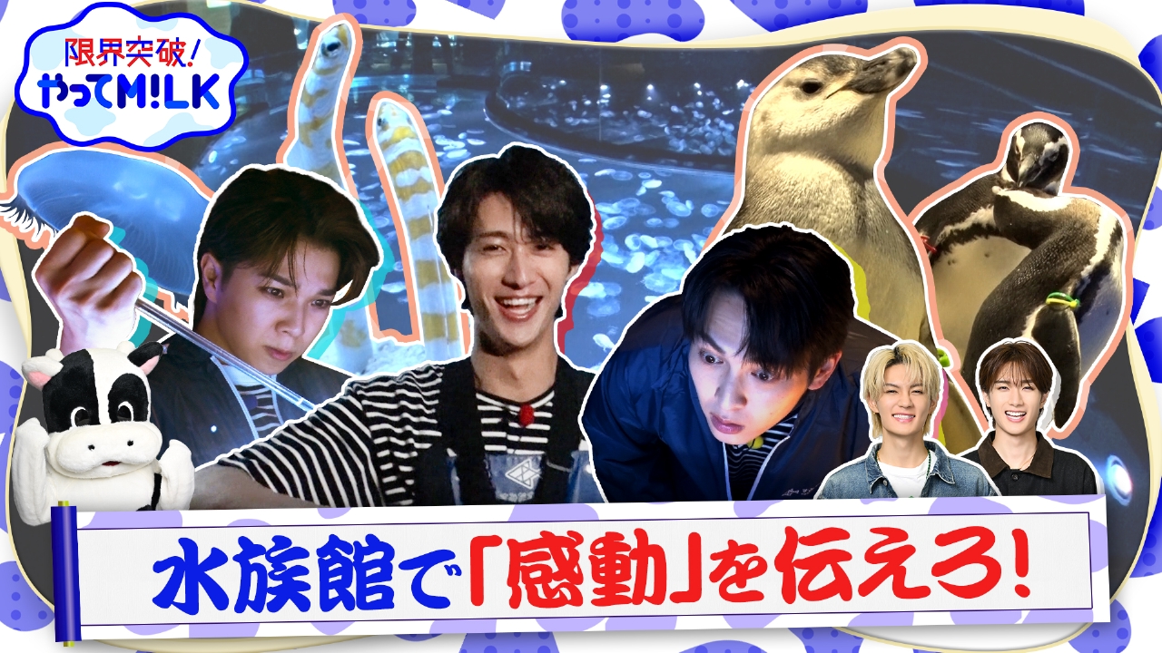 水族館で感動を伝えろ
