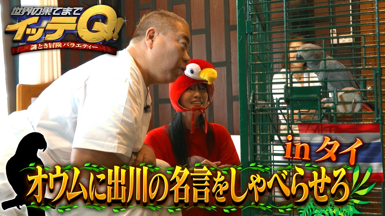 13年ぶり名作復活!オウムに出川名言を喋らせよう&みやぞん水上浮遊