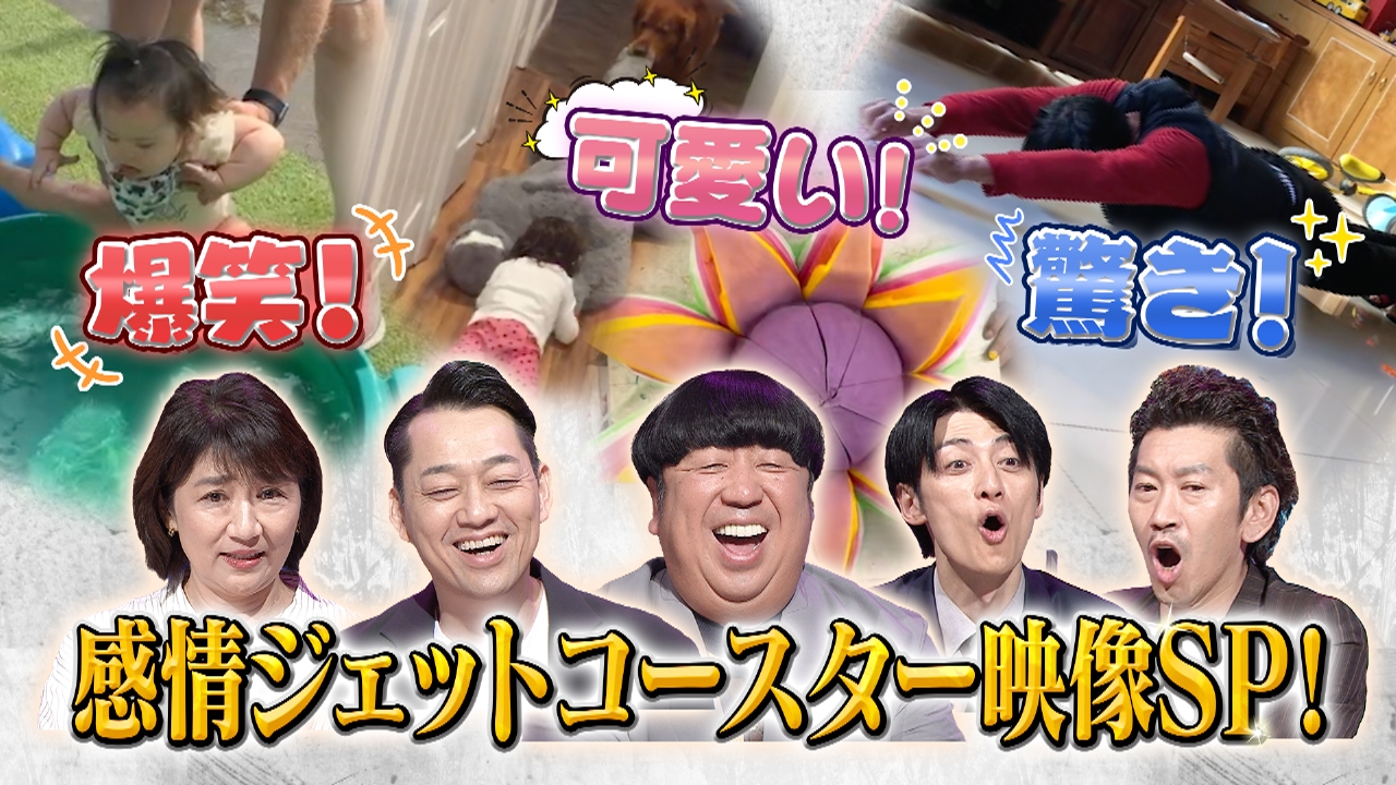 爆笑！可愛い！驚き！感情ジェットコースター映像SP！