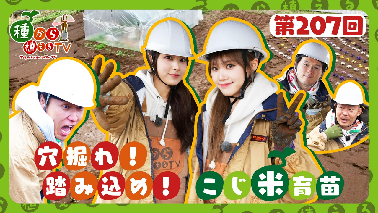 第207回 ザ・マミィ＆RINKA・MOMOKA（GPP） またまた穴掘り！1からお米の苗を育てられるか!?