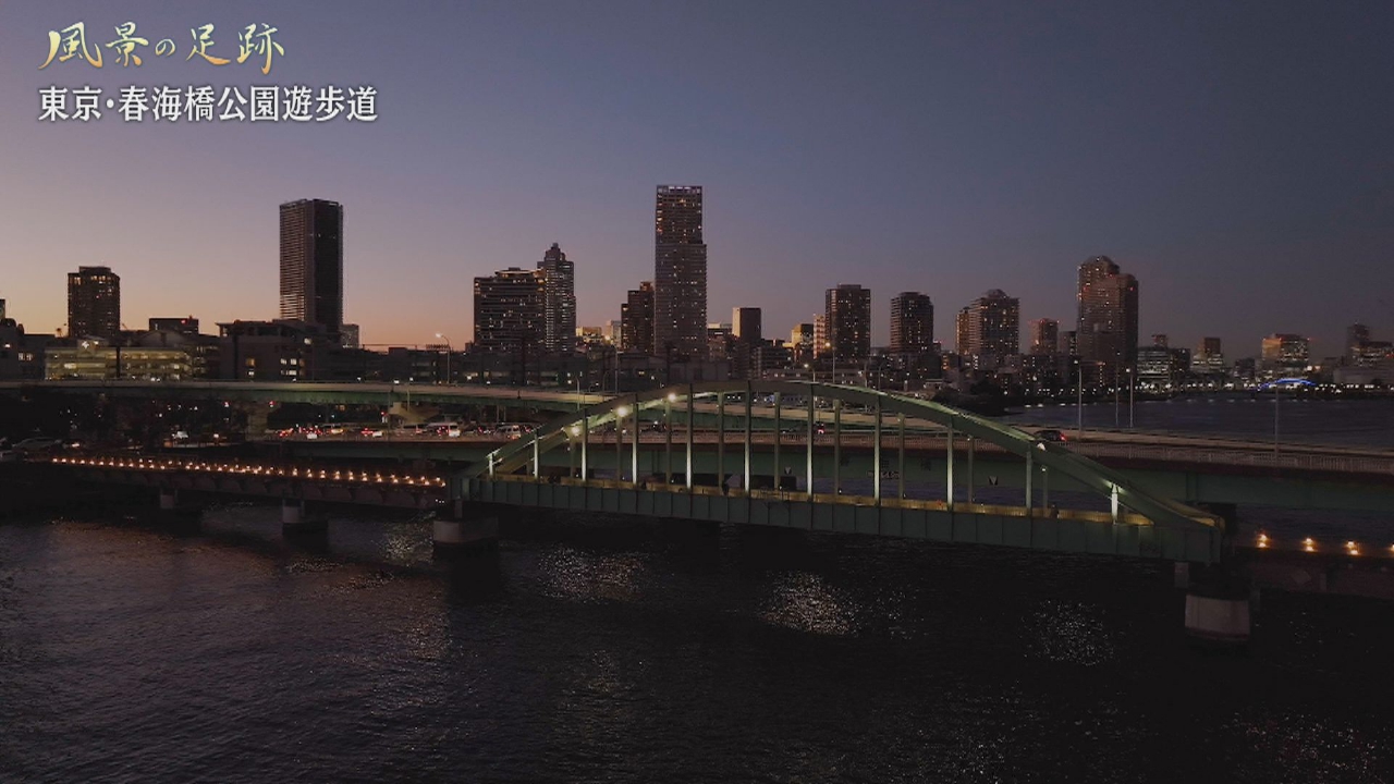 東京都 中央区江東区　春海橋公園遊歩道篇