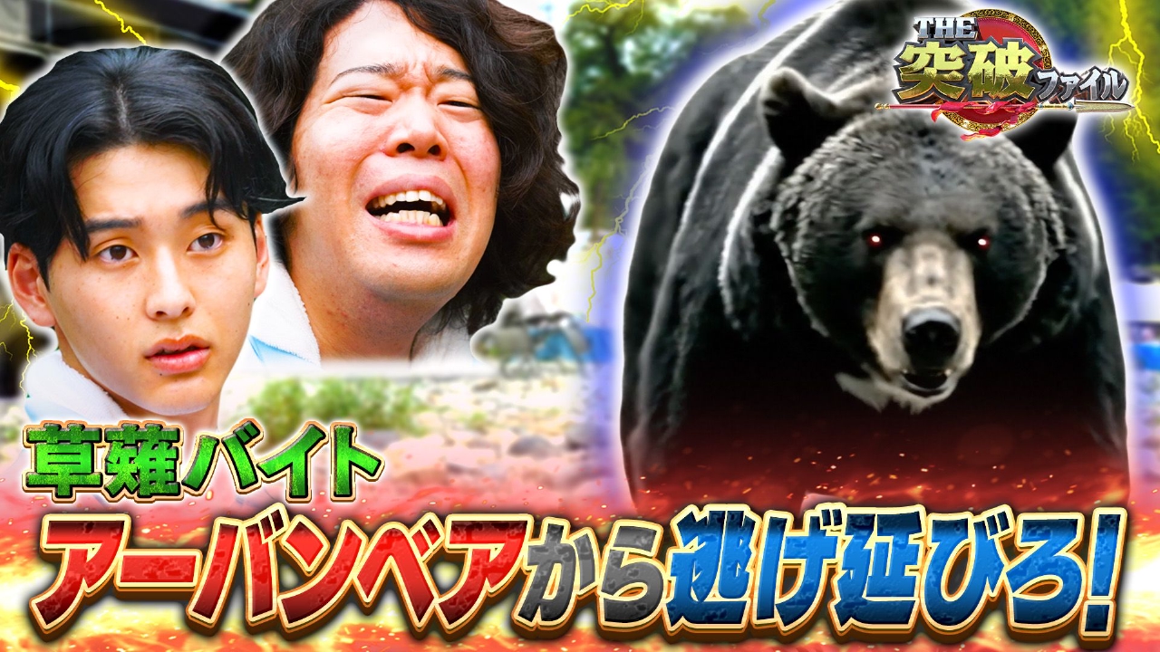 アーバン熊が肉食化!?遭遇時の生還方法▼空港税関VSコカイン密輸姉妹