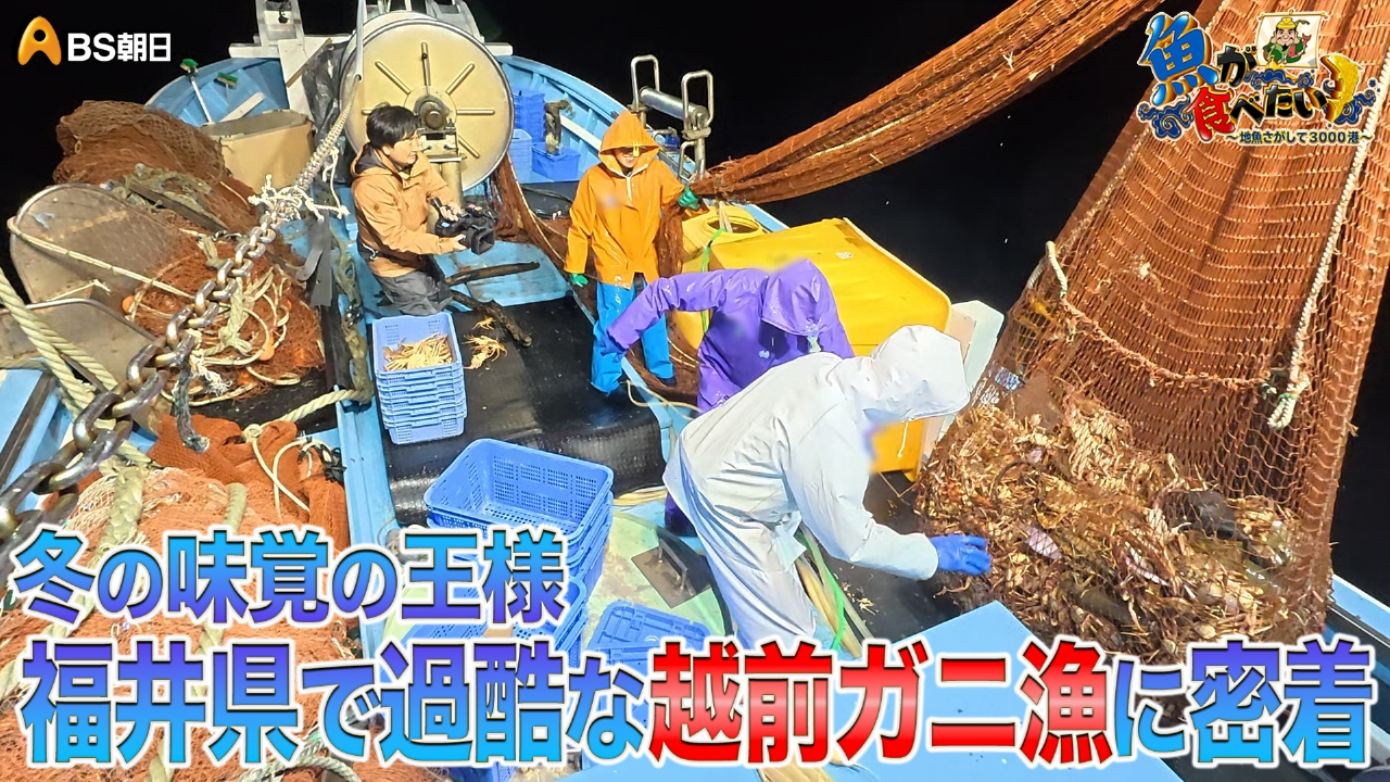 福井のブランド越前ガニの漁へ！