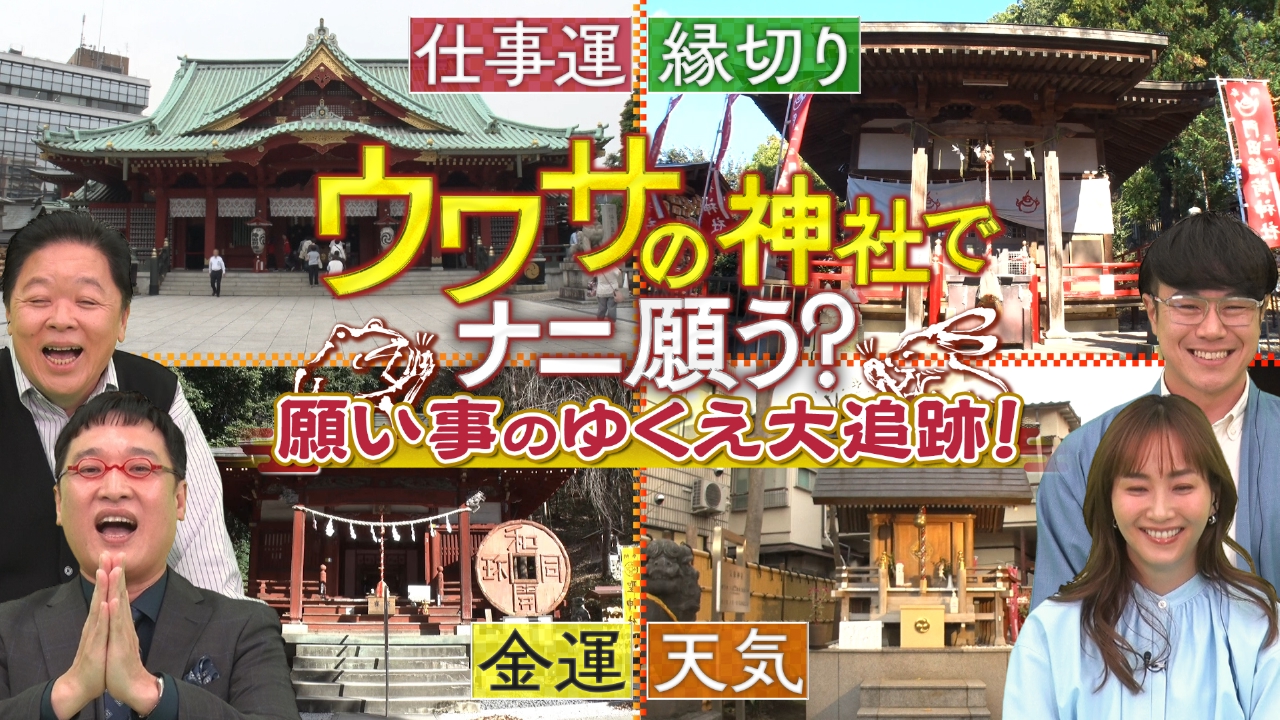 全国の神社で参拝客の願い事をインタビュー。その後を追跡＆密着する禁断のドキュメントバラエティ