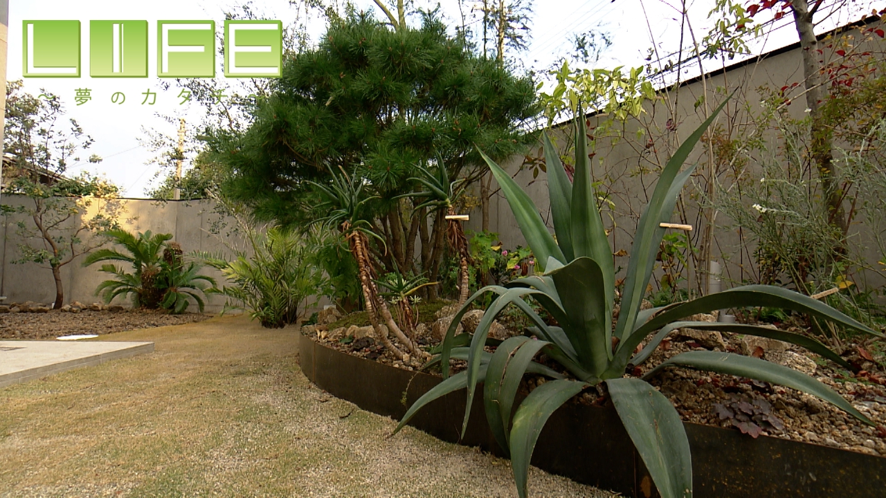 異国の植物を組み合わせ…兄弟が手掛ける庭造り