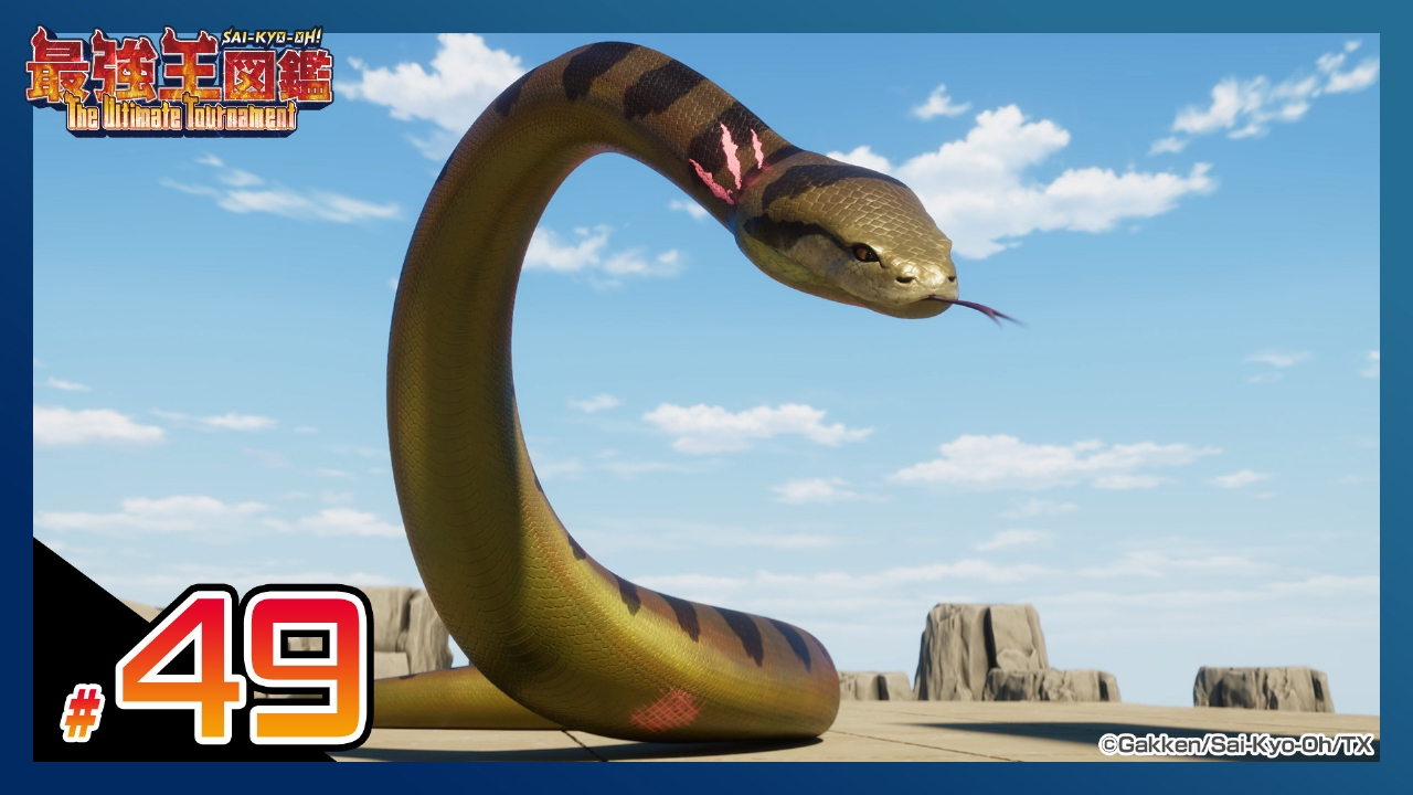 【決勝戦】ティタノボア VS インペリアルマンモス