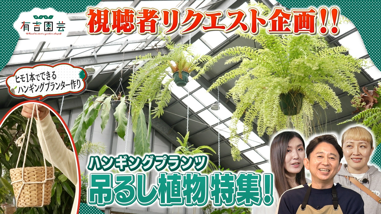 オシャレで人気の吊るし植物