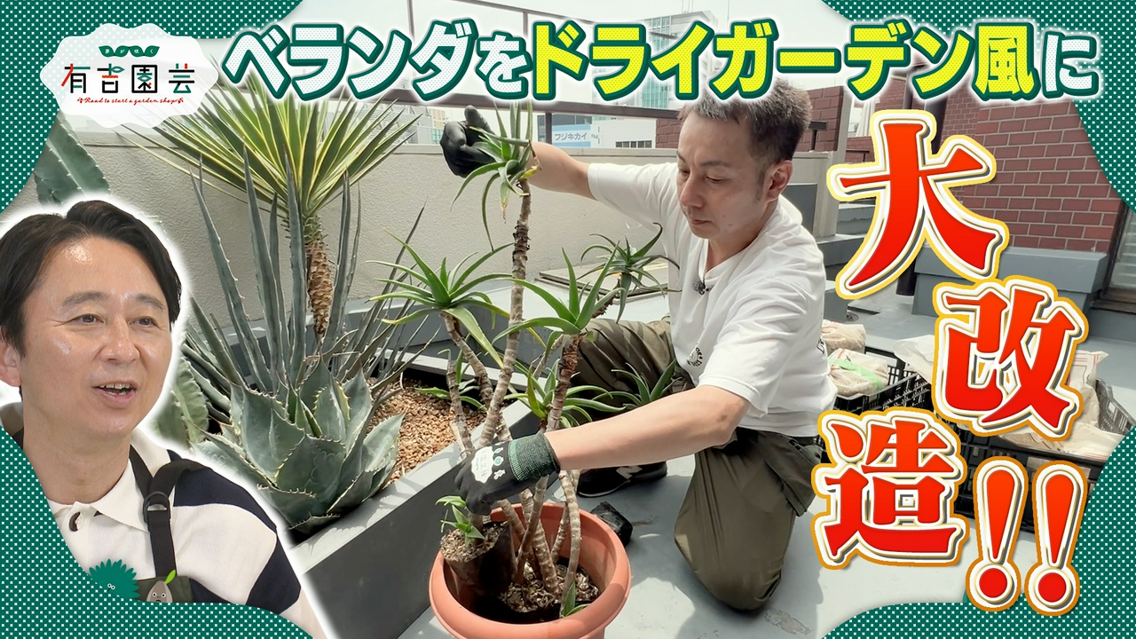 ベランダをオシャレにプロデュース！完結編