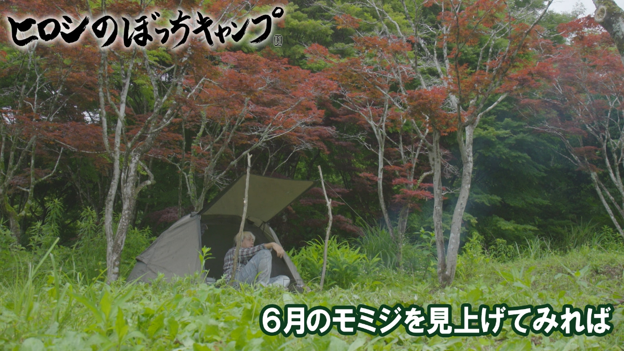 #264 シーズン１2 ６月のモミジを見上げてみれば