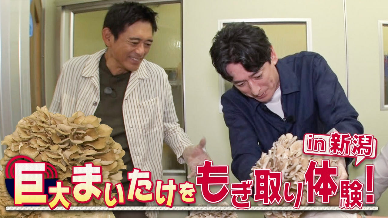 新潟県・越後湯沢シリーズの第2回！南魚沼産コシヒカリ、神楽南蛮味噌、日本酒大吟醸、巨大まいたけ、空飛ぶ団子！？少食おじさんの目移りが止まらない！！