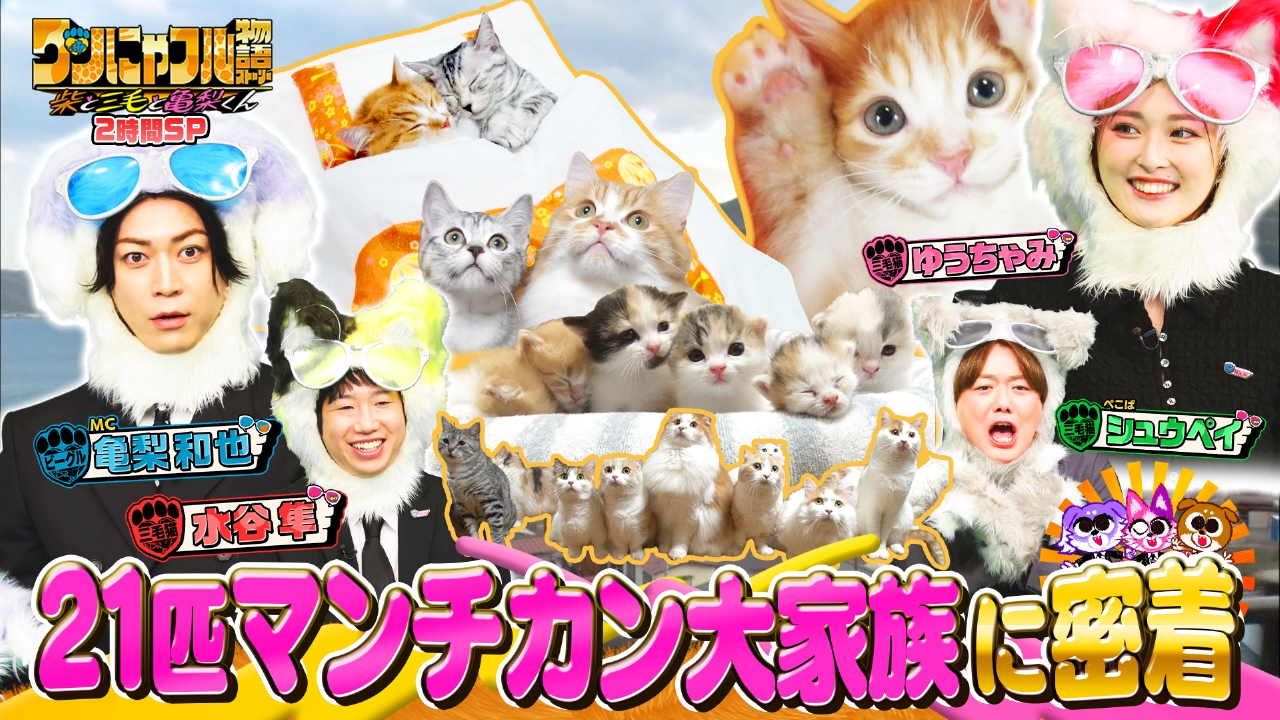 MC：亀梨和也！21匹激かわマンチカン大家族＆遭難少女を助けた犬