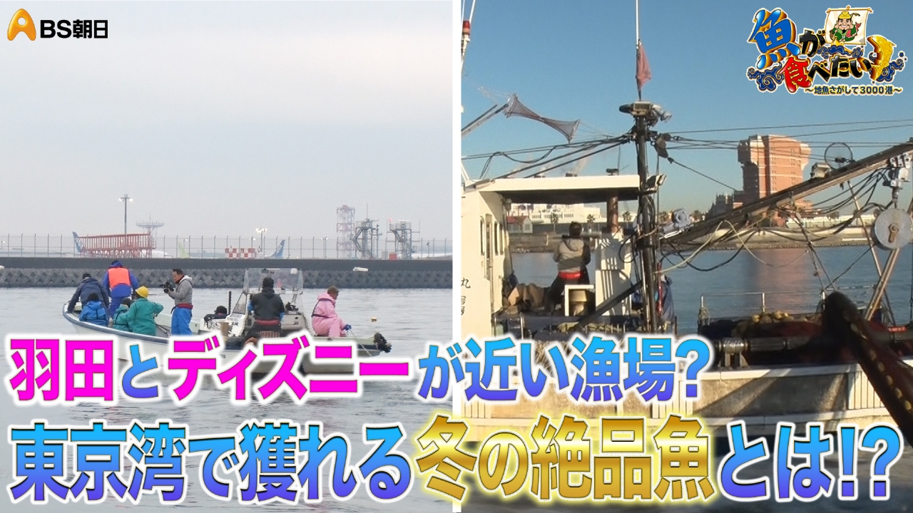 東京湾スペシャル！大都会の海に生きる漁師に密着！