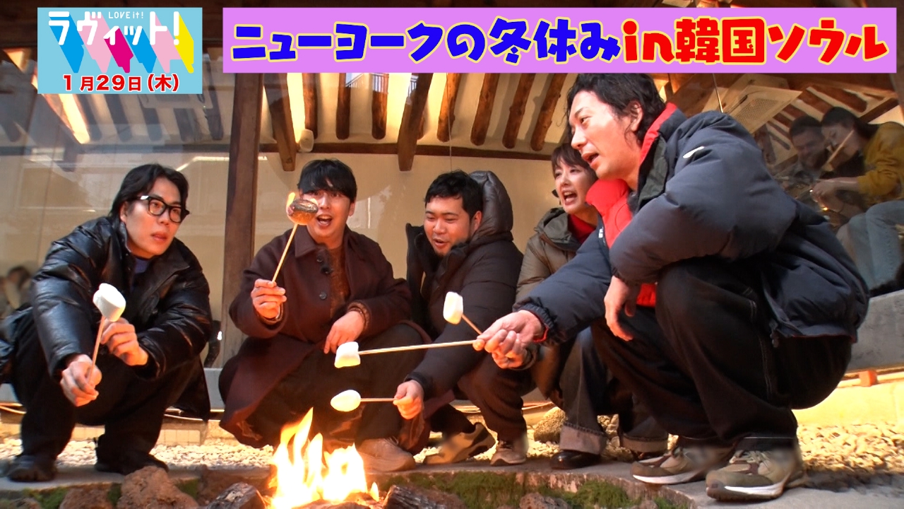 ニューヨークの冬休みin韓国