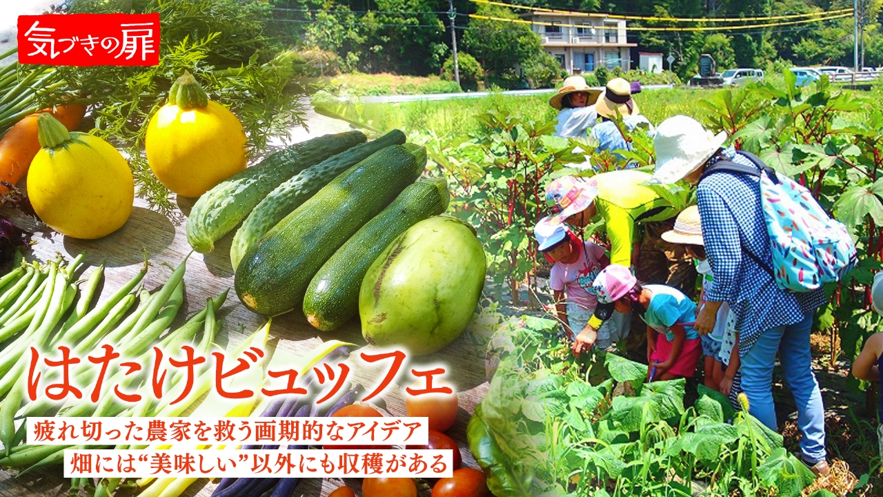 2025年12月5日放送