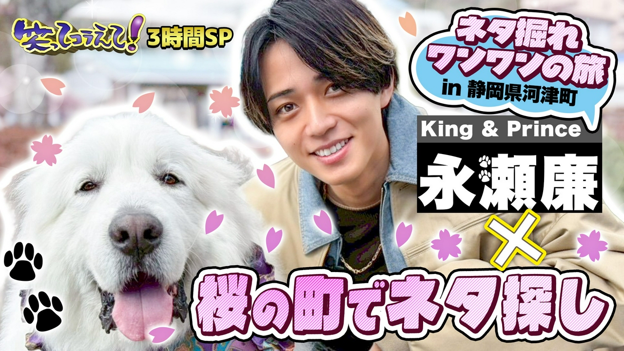 (2)北海道から鹿児島県徳之島まで!ダーツ&道の駅伝3時間SP