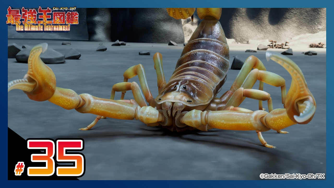 【マッチアップラウンド】プロコプトドン VS デスストーカー