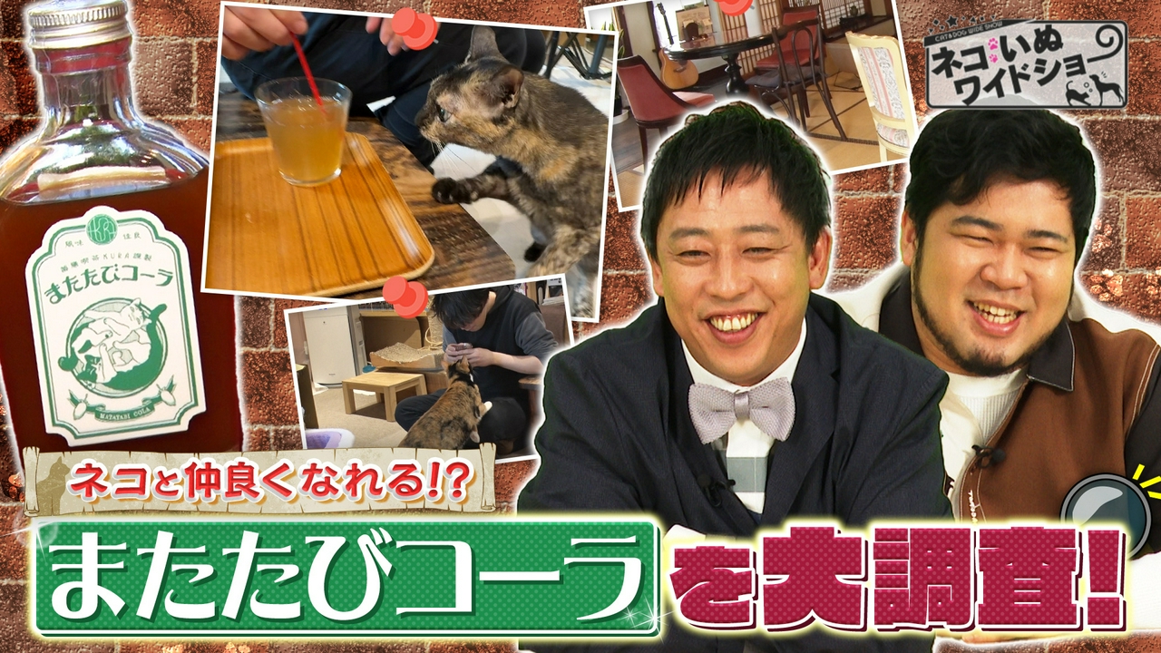ネコいぬ調査隊！話題の「またたびコーラ」でネコにモテる!?/殺処分激減 京都動物愛護センターの挑戦