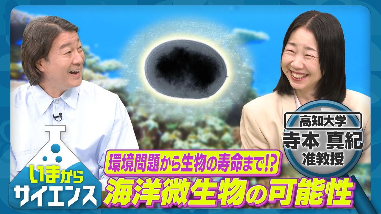 環境問題解決を目指す！可能性を秘めた海洋微生物の力 寺本真紀（高知大学農林海洋科学部准教授）
