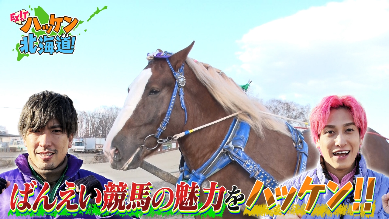 競馬場に村ハッケン!?EXITが帯広・ばんえい競馬の知られざる裏側に迫る！