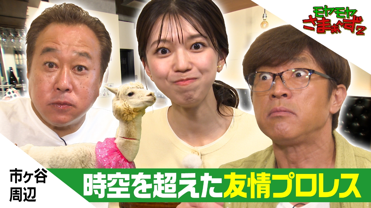 市ヶ谷周辺で謎アルパカ＆謎プロレス＆謎ボートで遊ぶ！