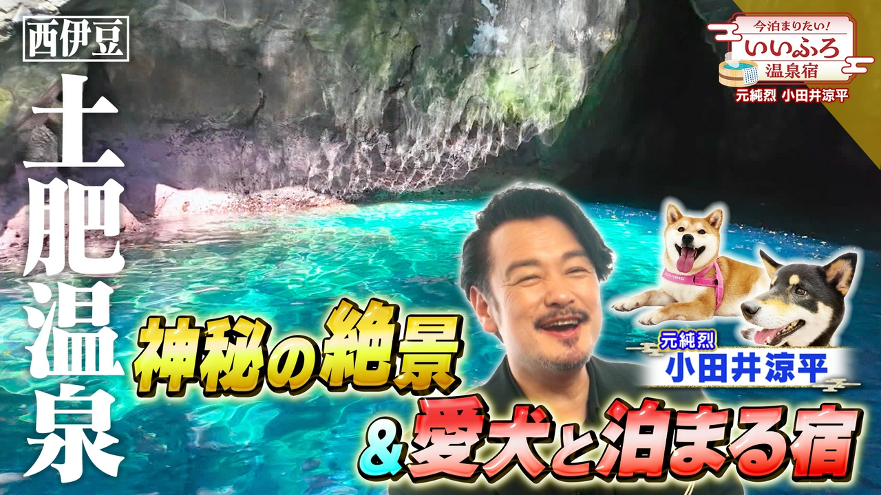 ！西伊豆！青の洞窟と伝統の味に感動！愛犬大満足の温泉宿！