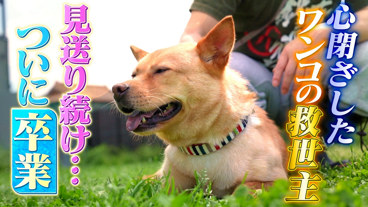 さかがみ家のアイドル犬“つーちゃん”ついに！