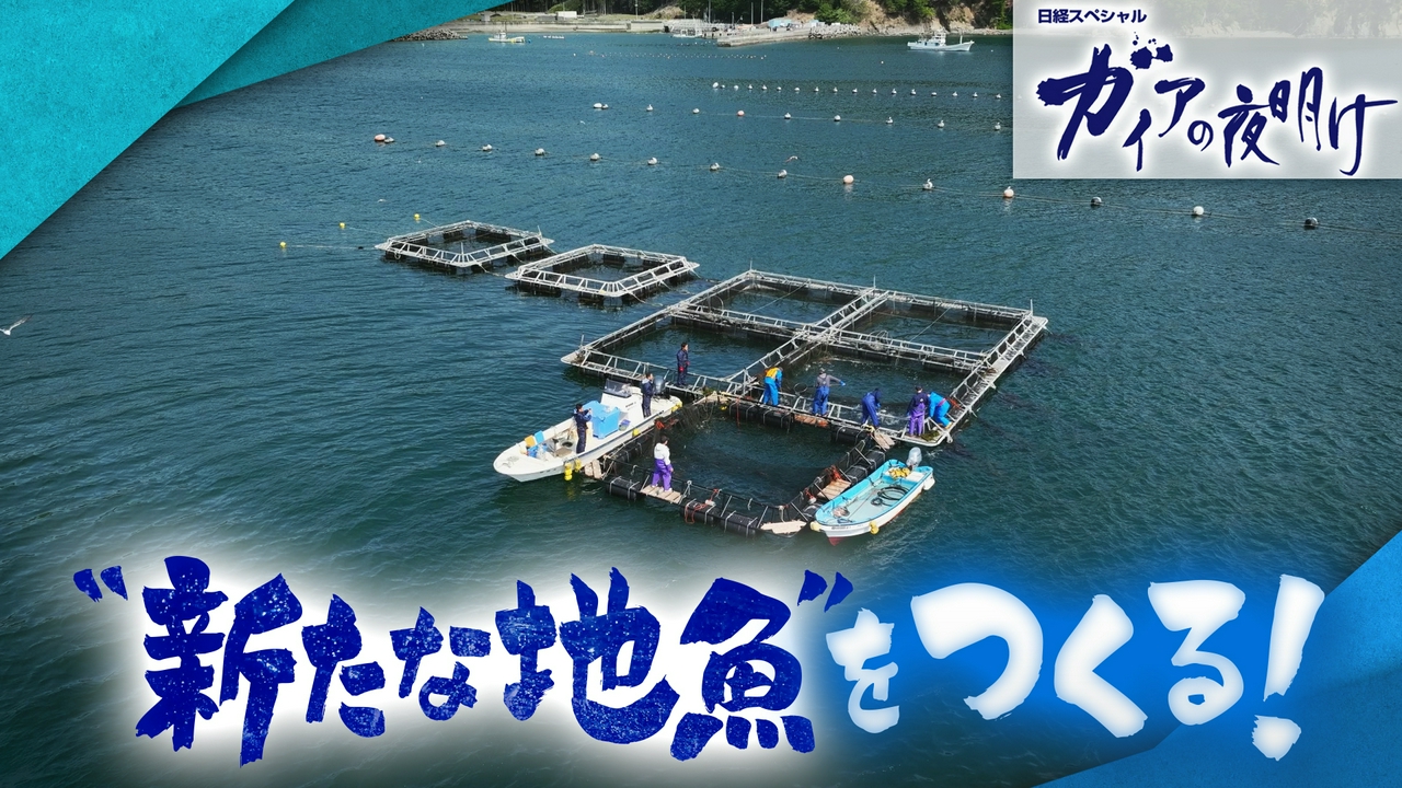 【“新しい地魚”をつくる！】コンビニも注目するギンザケとは