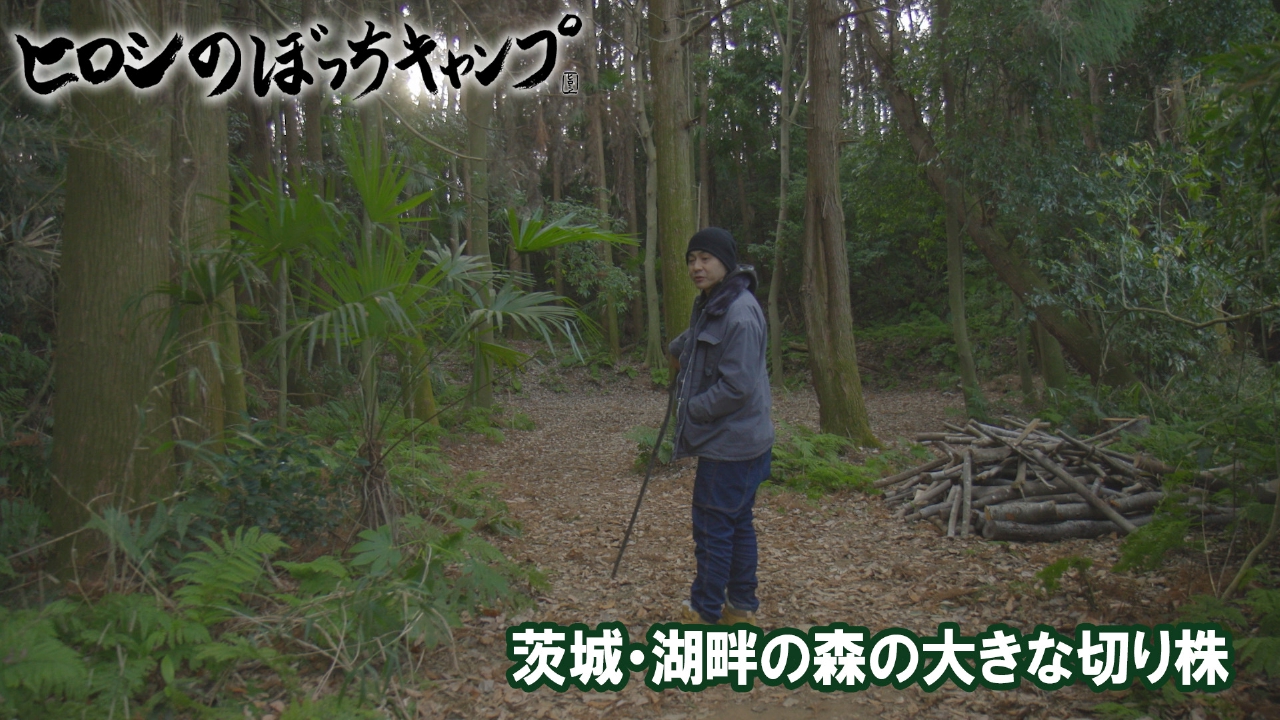 #285 シーズン１２ 茨城・湖畔の森の大きな切り株