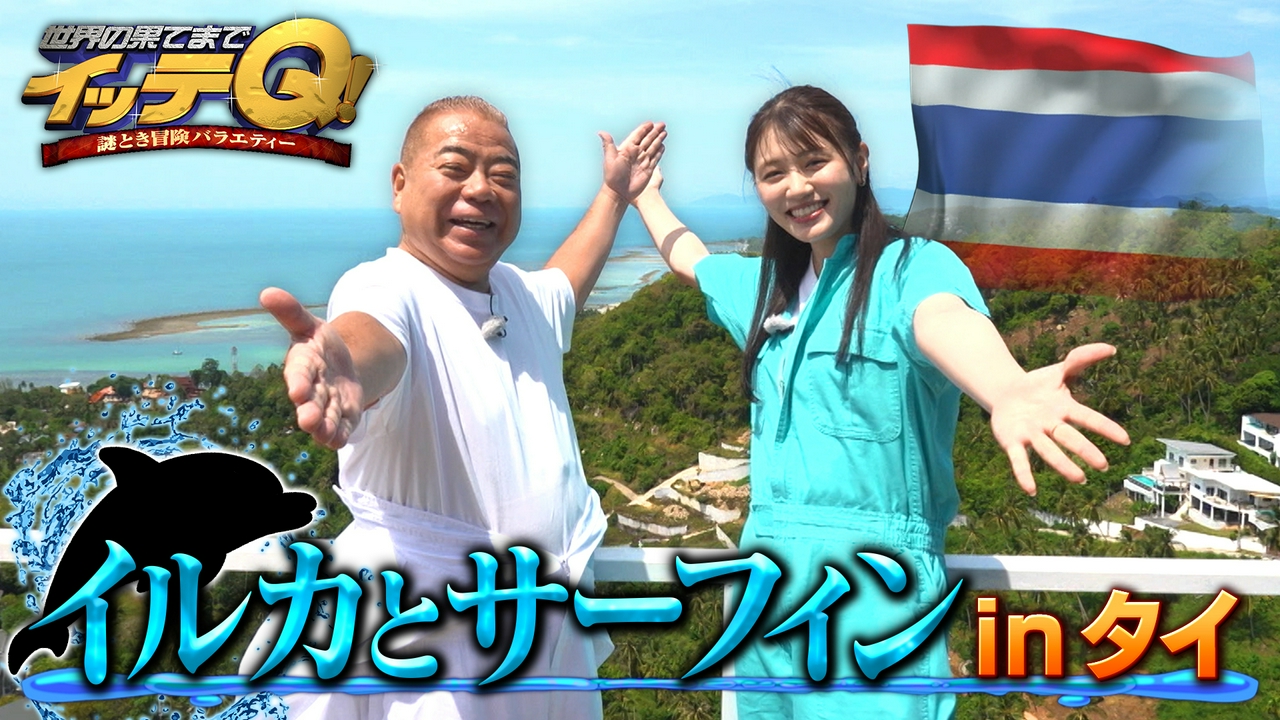 【出川&塚本】野生イルカと夢の並走【Qtube】音楽の都ウィーンへ