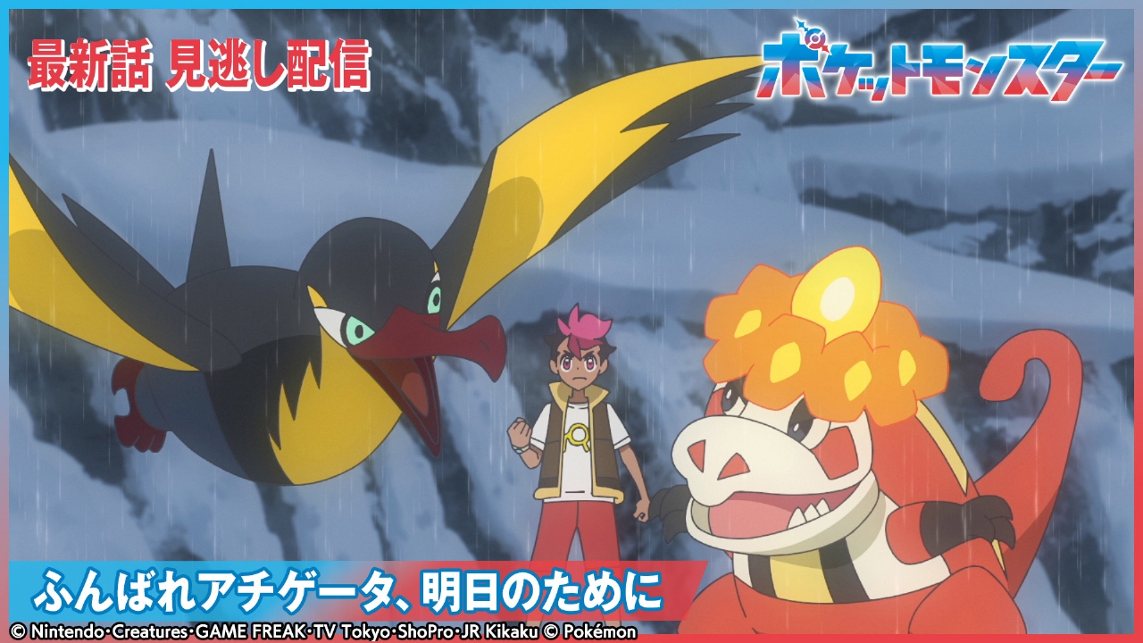 ふんばれアチゲータ、明日のために