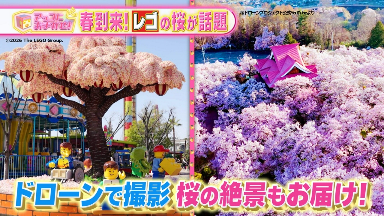 レゴサクラツリー＆桜の絶景ドローン映像