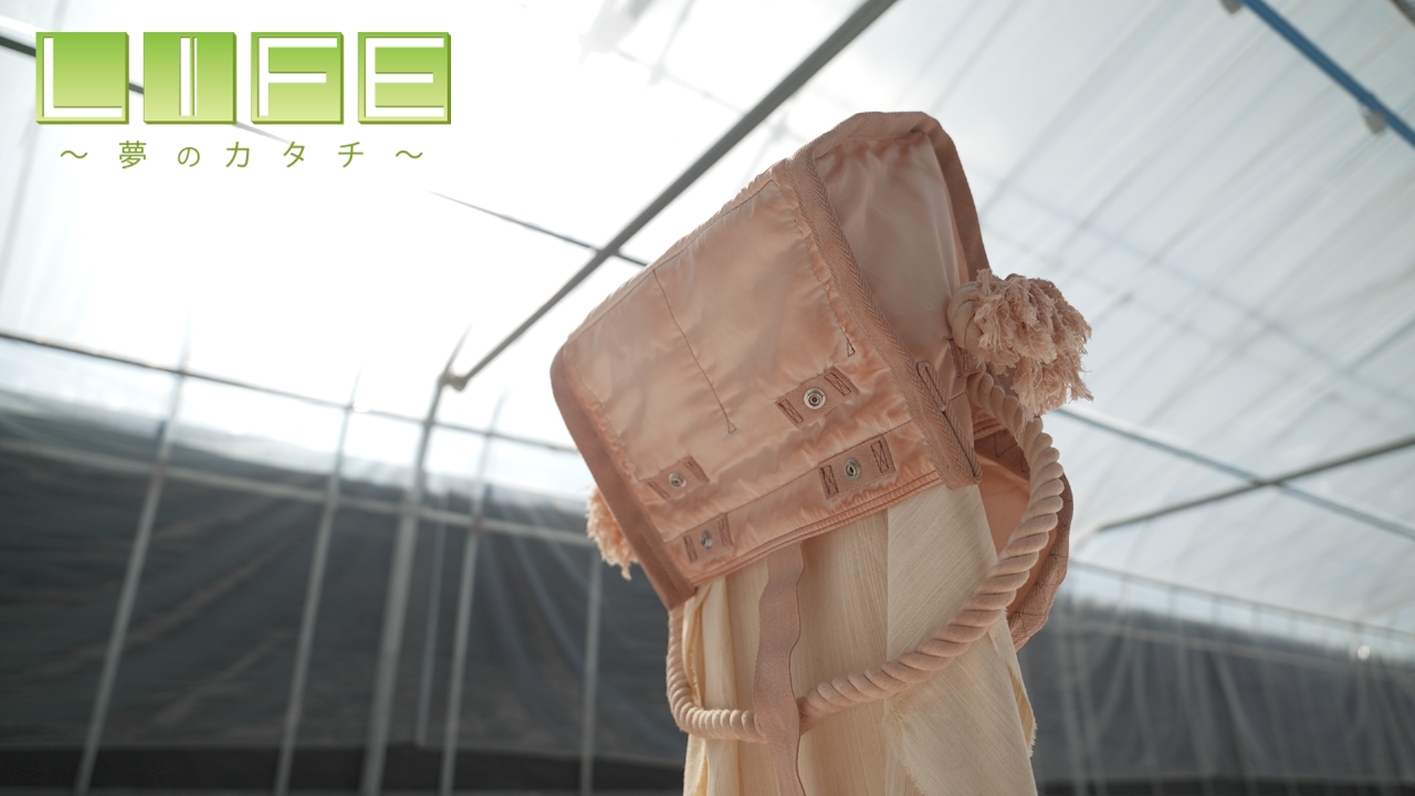 「柿渋染め」の魅力を次の世代へ！伝統を未来へつなぐ職人の挑戦