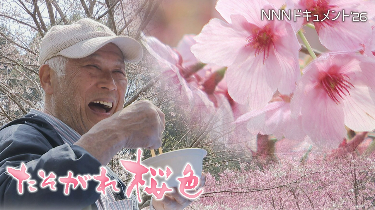 たそがれ桜色