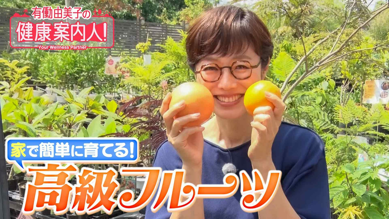家で簡単に育てる！高級フルーツ