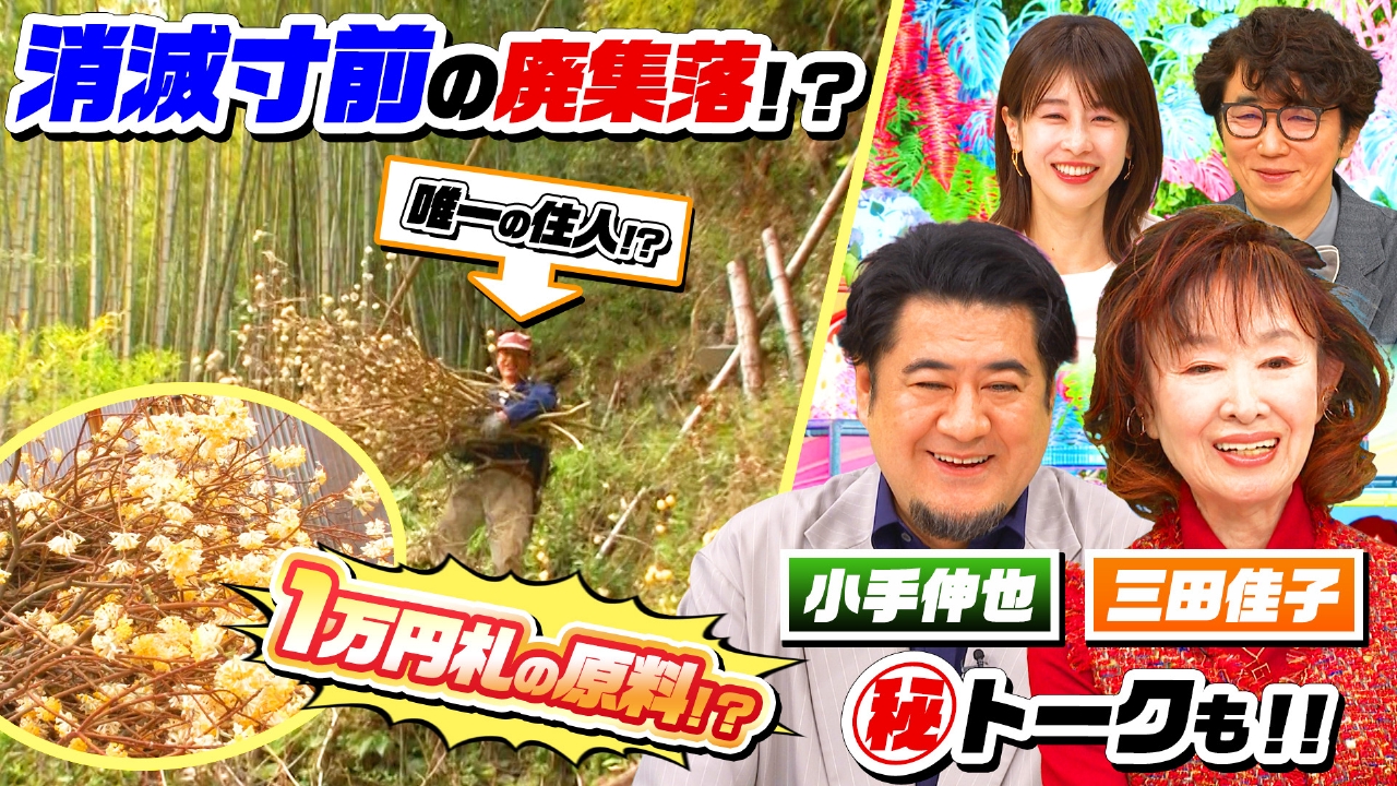 高知・愛媛の県境…消滅寸前の廃集落たった一人暮らす（秘）未確認日本人