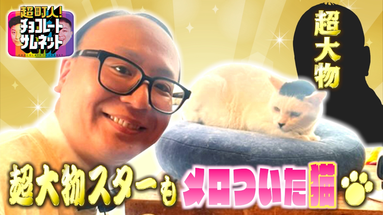 SNSでバズった猫に超大物スターがメロメロ♡