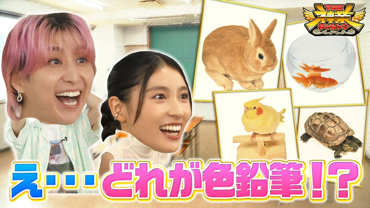 最強美女！神業フェンシング＆潜入！新幹線の神VSなにわ大西