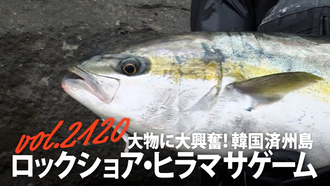 大物に大興奮！韓国済州島 ロックショア・ヒラマサゲーム