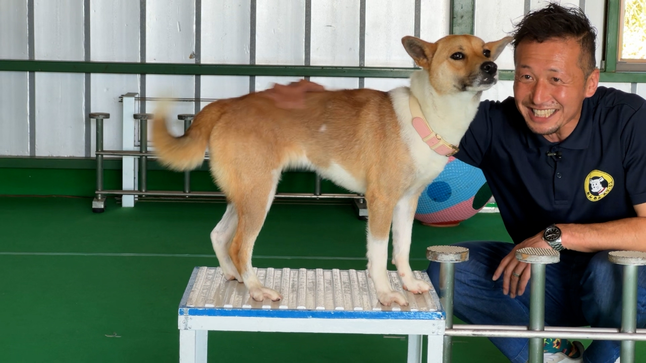 宮本亜門がワンコご飯を食リポ！保護犬たちが活躍するサーカス団に密着