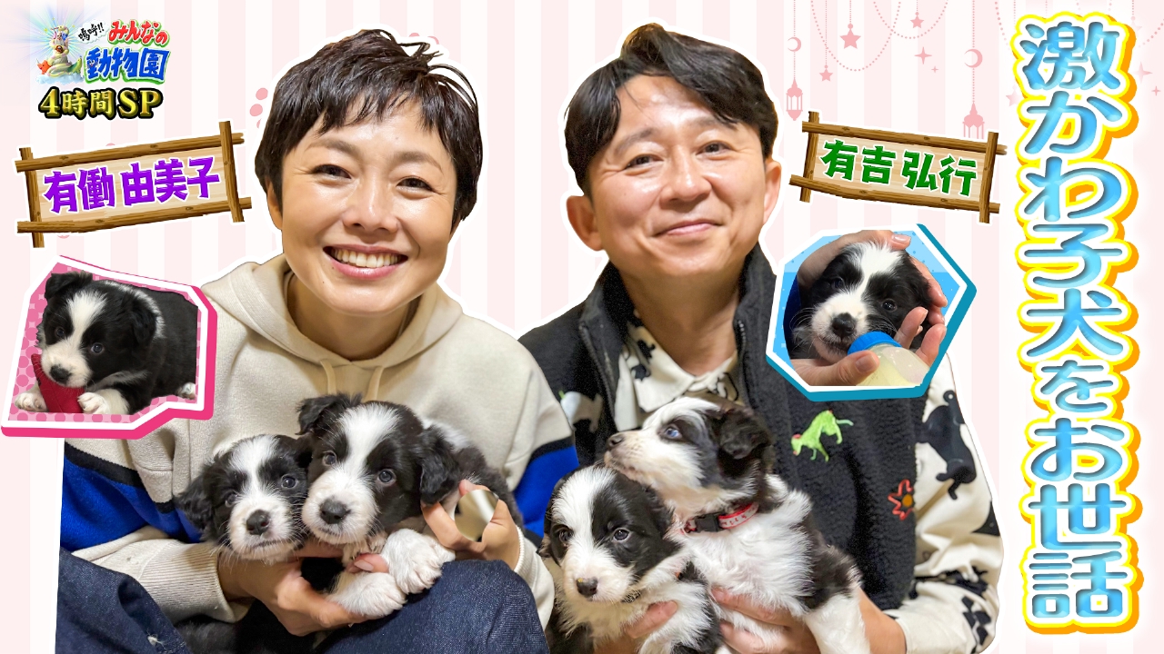 有働由美子＆有吉弘行の保護犬ミルクボランティア