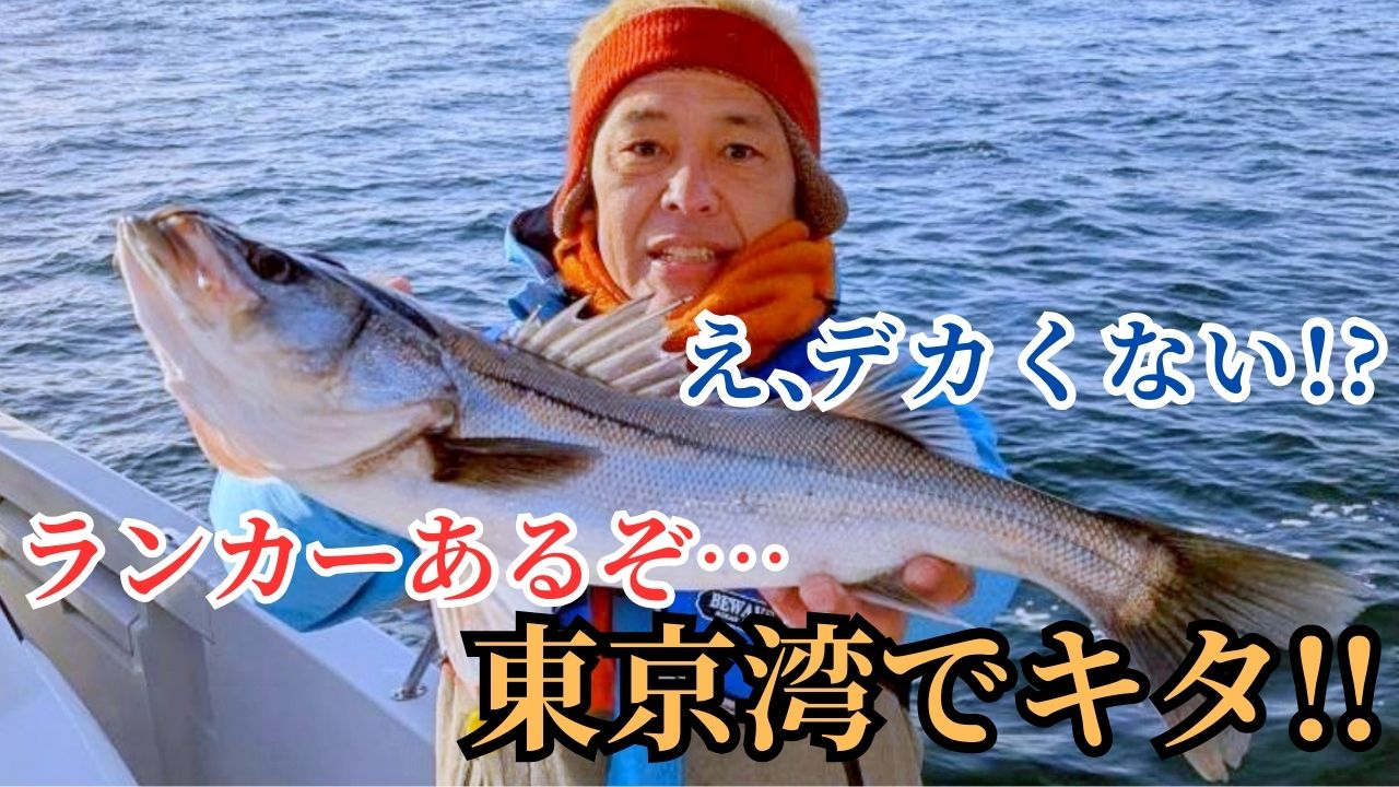 東京湾でビギナーも狙える！？大物GETだぜ！シーバス釣りならまかせろ！